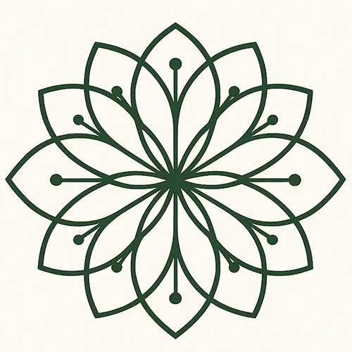 The Harmony Matcha